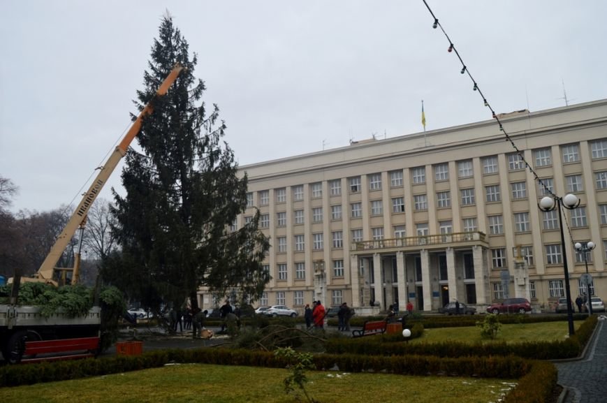 ялин ялин