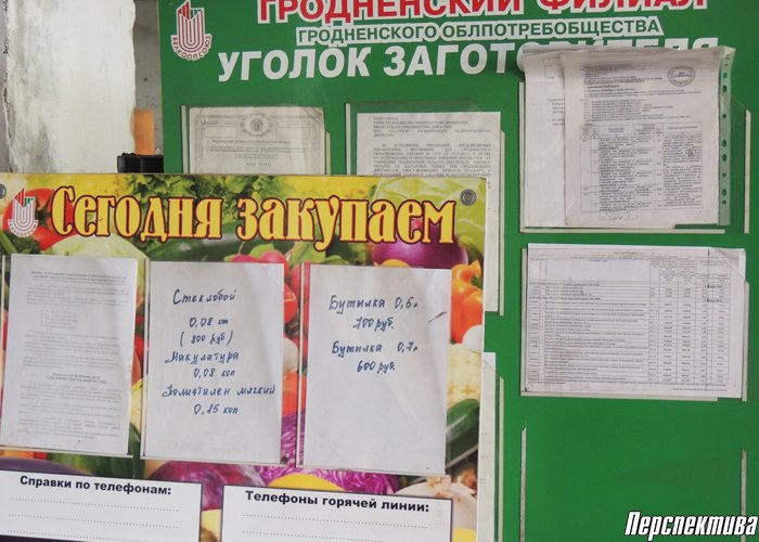 Адрес приема макулатуры в гродно куплю макулатуру дорого томск