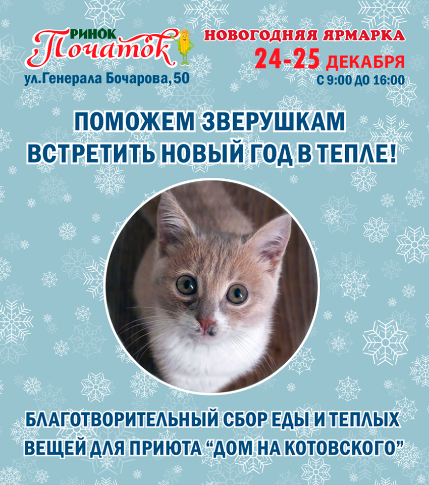 Котейка_початок Котейка_початок