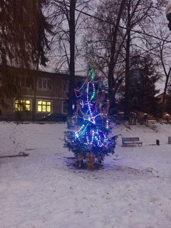 ялиночка ялиночка