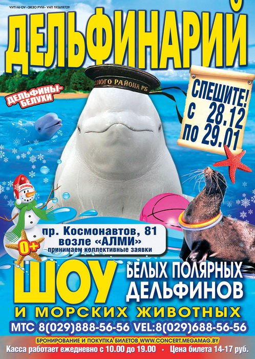 delfinariy copy delfinariy copy