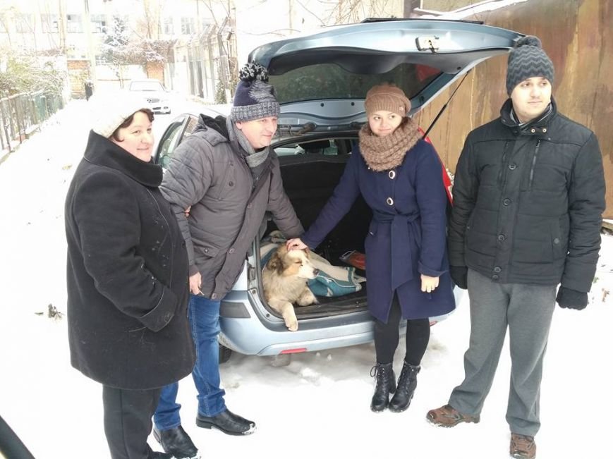 собака 4 собака 4