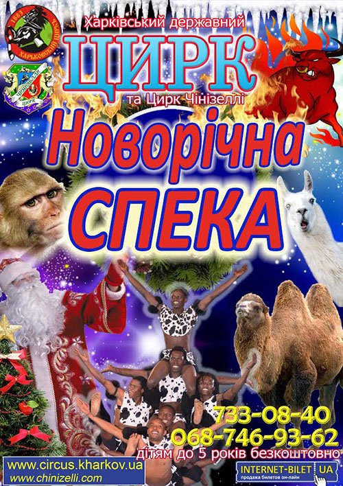 цирк цирк