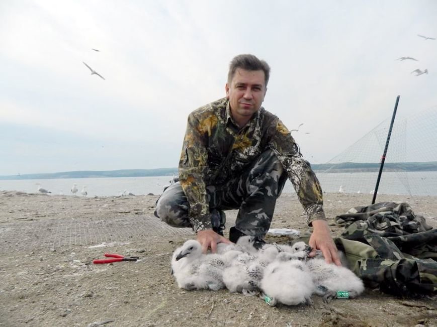 Птахи Птахи
