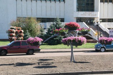 клумб клумб