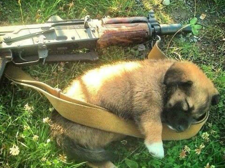 С 9 С 9