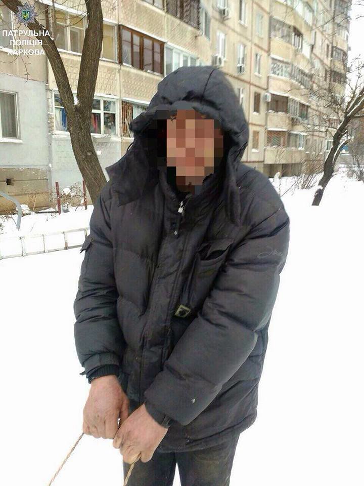 трубы трубы