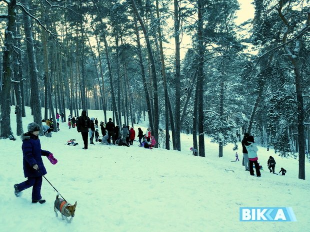 Сезон-6 Сезон-6