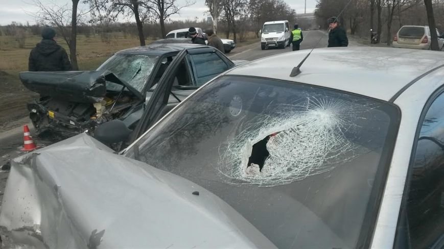 чсфы чсфы