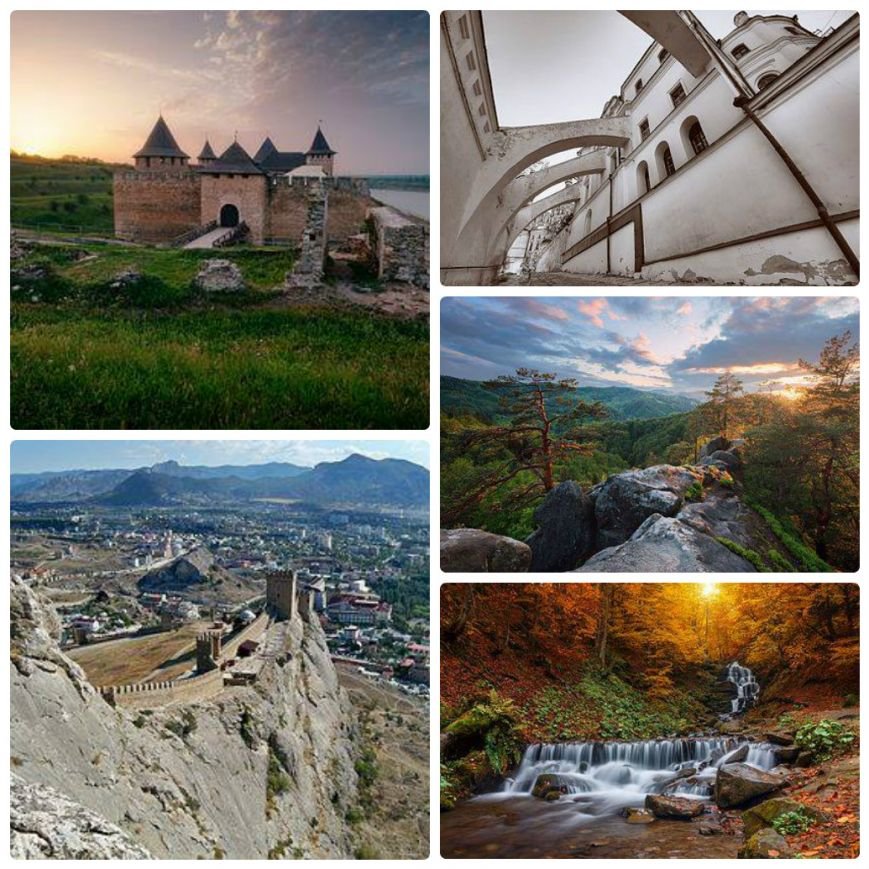 collage_photocat