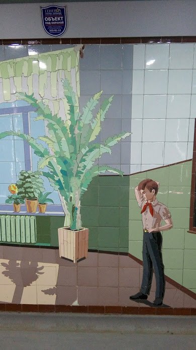 фикус_о фикус_о