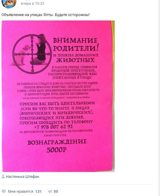 Снимок Снимок