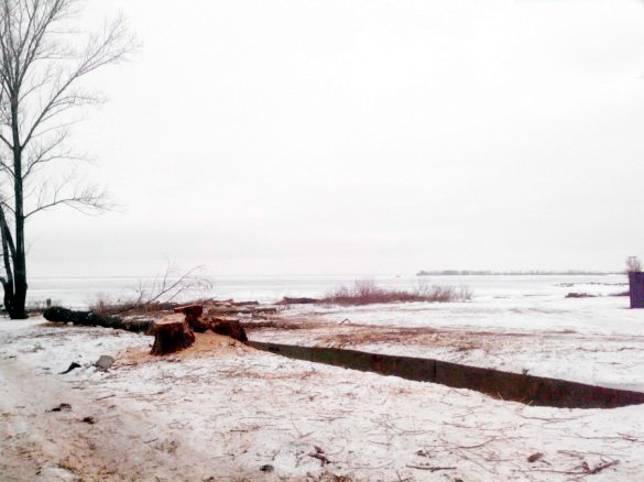 Дерева-1 Дерева-1