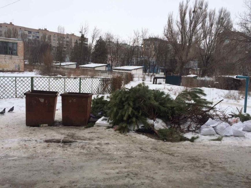 Новомосковск 0569 елки Новомосковск 0569 елки