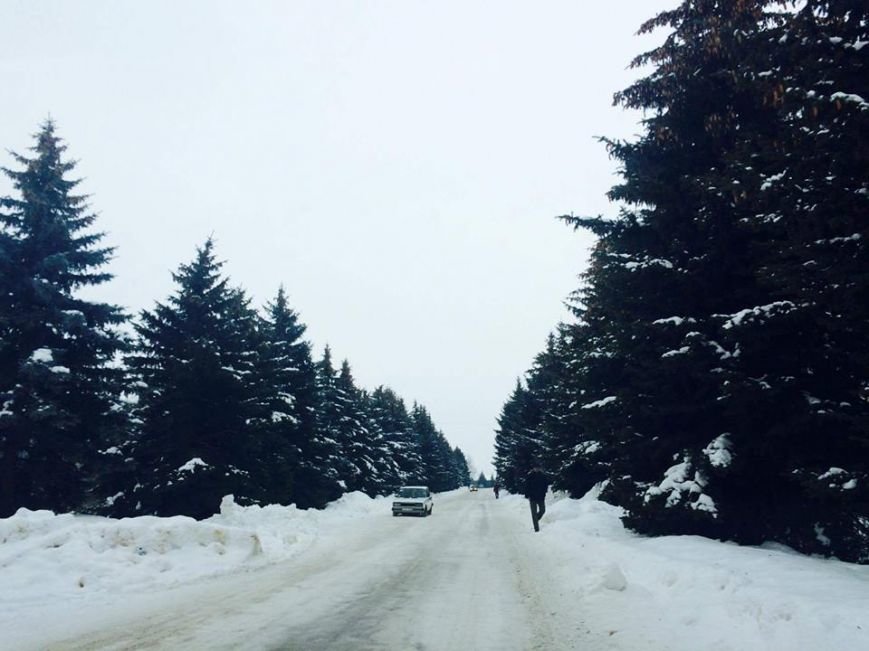 елки, дорога елки, дорога