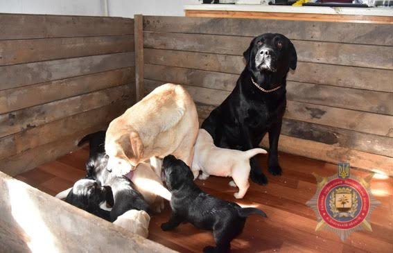 unnamed (5) unnamed (5)