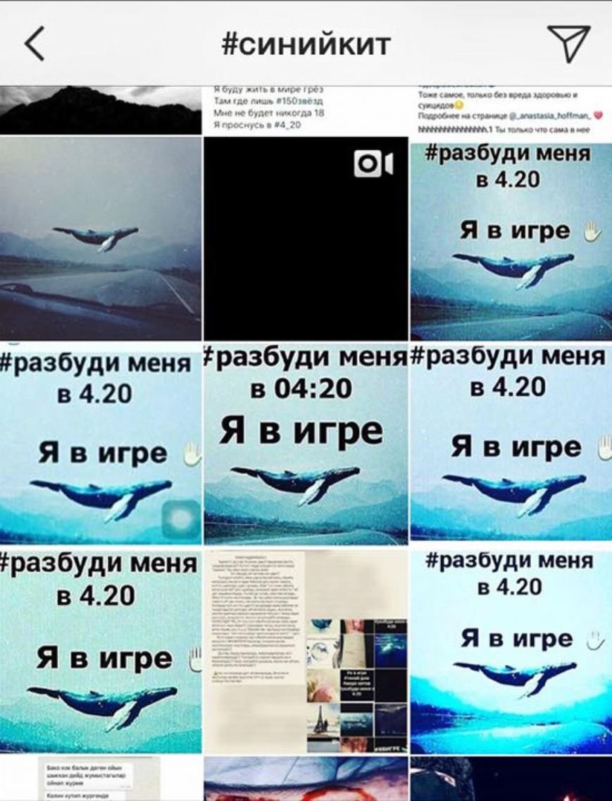 В Украине появились "группы смерти", которые доводят подро..., фото-3 В Украине появились "группы смерти", которые доводят подростков до самоубийства, фото-3