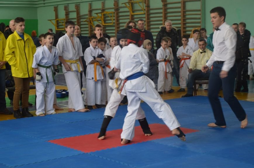Новик 0569 киокушин (7) Новик 0569 киокушин (7)