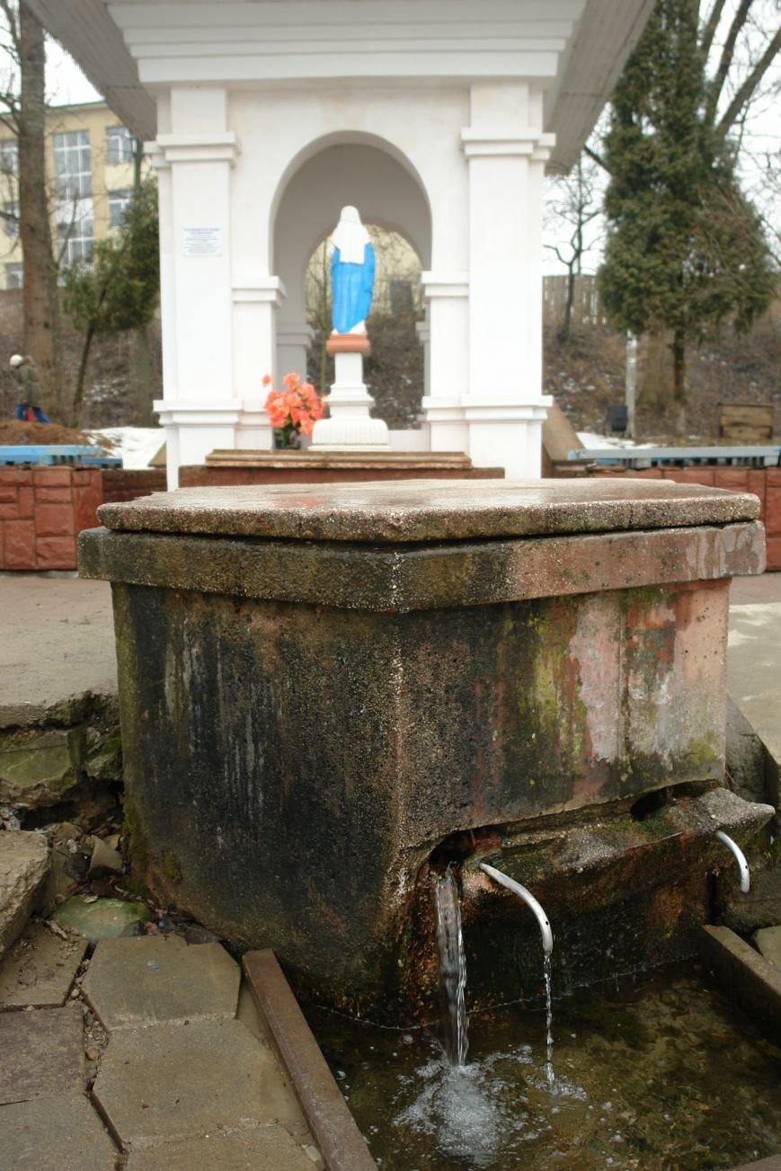 DSC05973