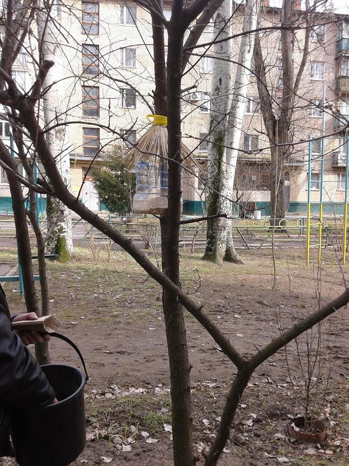 корм6 корм6