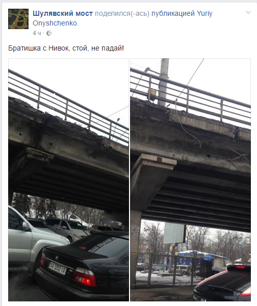 нивки нивки