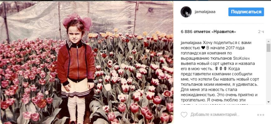 джамала джамала