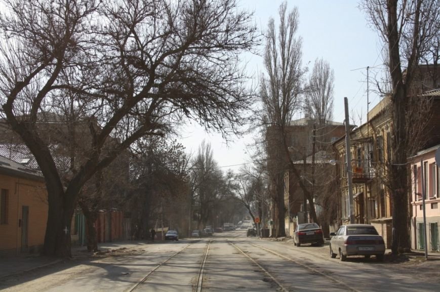 дерева дерева