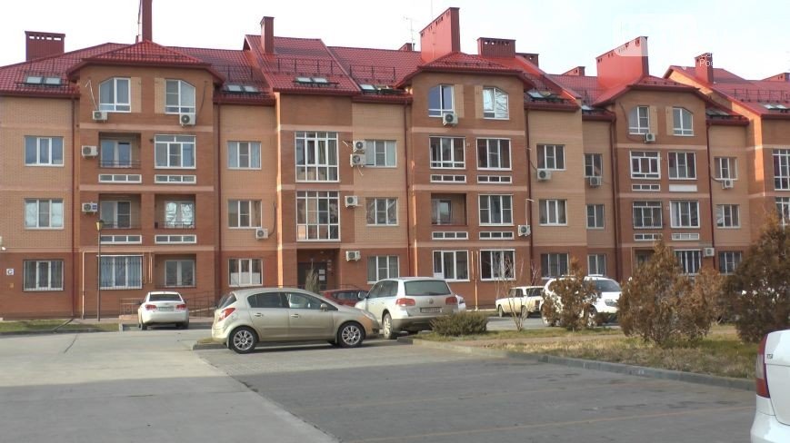 Пальмира Пальмира