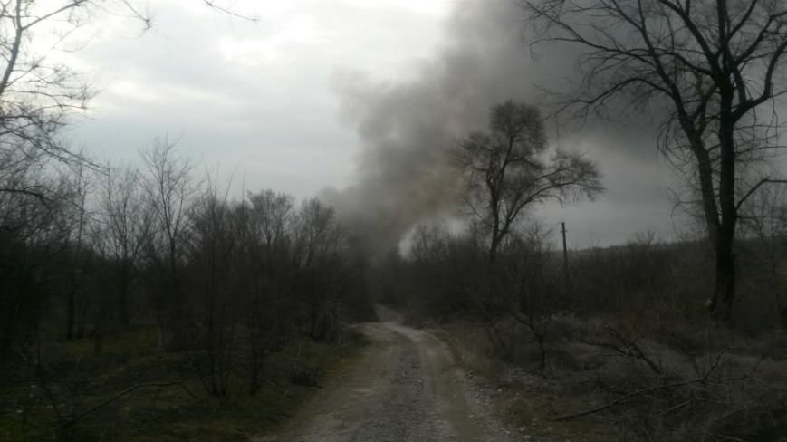 цыв цыв