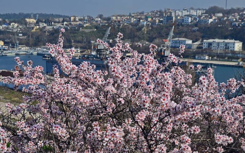 0_17c9d4_6023b770_XXL.jpg,qitok=pVFjUlQt.pagespeed.ce.41XBPLbJak 0_17c9d4_6023b770_XXL.jpg,qitok=pVFjUlQt.pagespeed.ce.41XBPLbJak