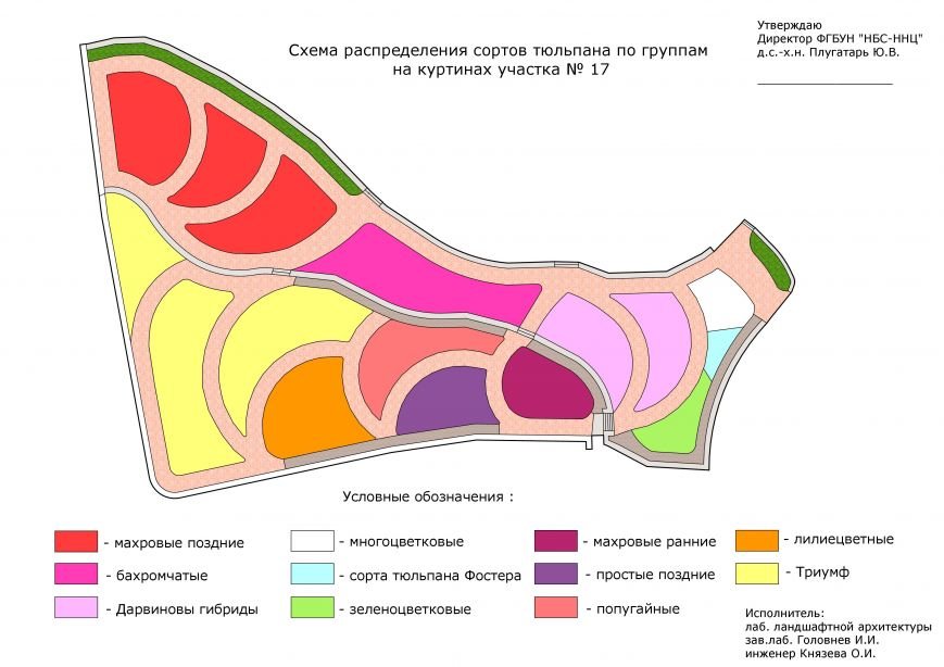 Распр. по группам_1 Распр. по группам_1