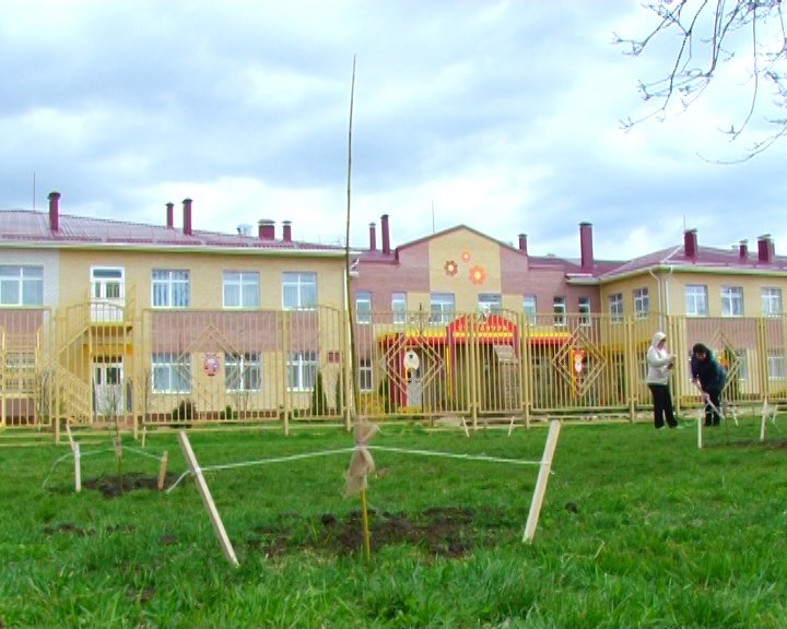 деревья 5 деревья 5