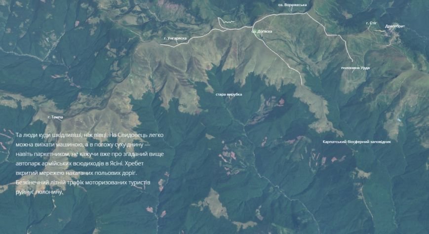 вівці1 вівці1