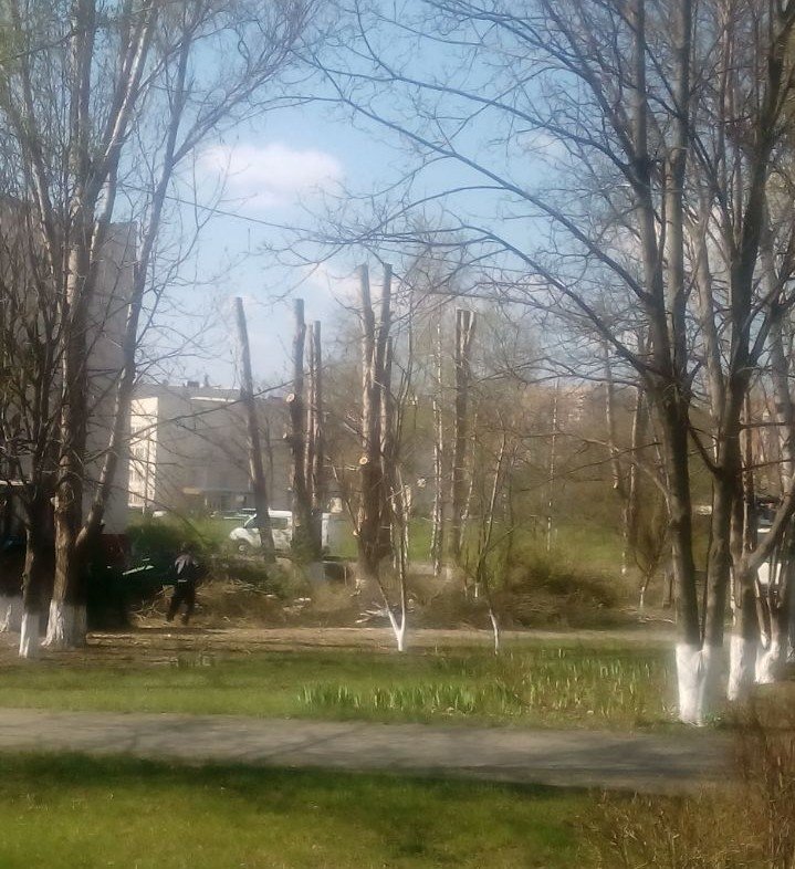 дерево 1 дерево 1