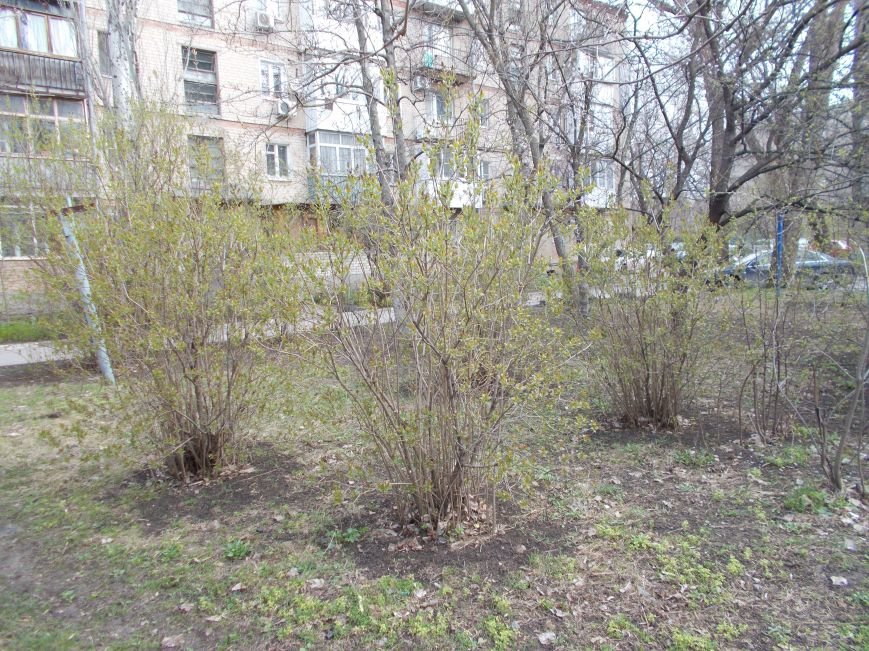 площ3 площ3