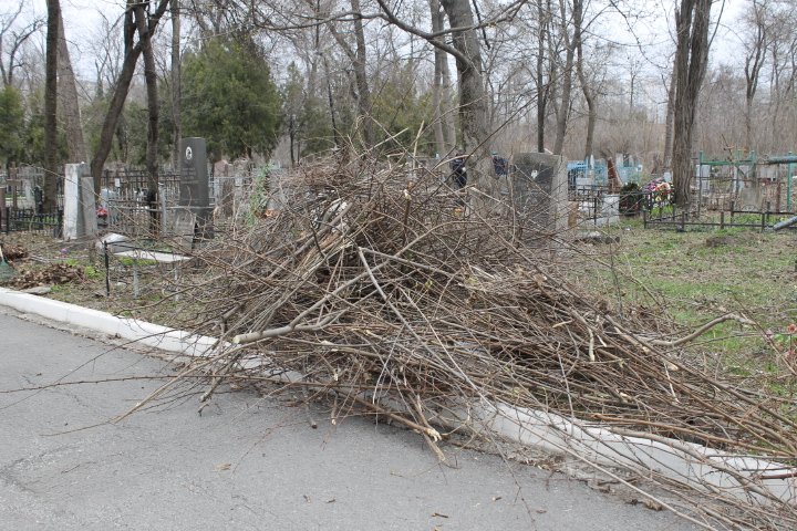 Бк4 Бк4