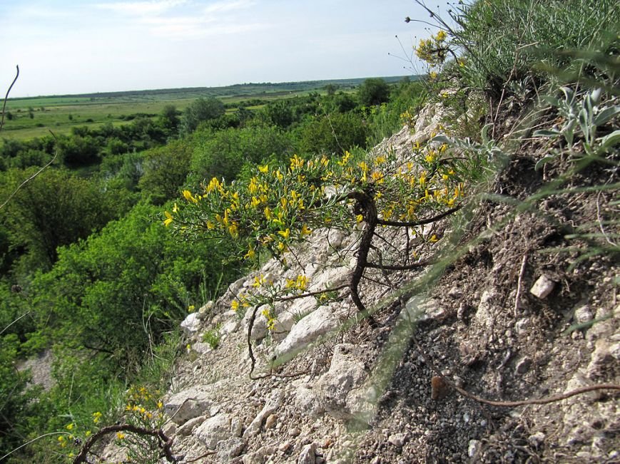 Біла_скеля,_Новолатівка_04 Біла_скеля,_Новолатівка_04