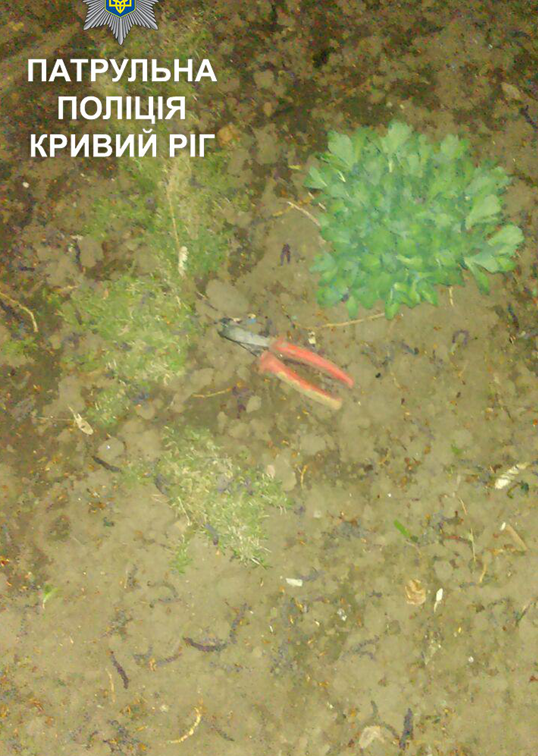 п2 п2