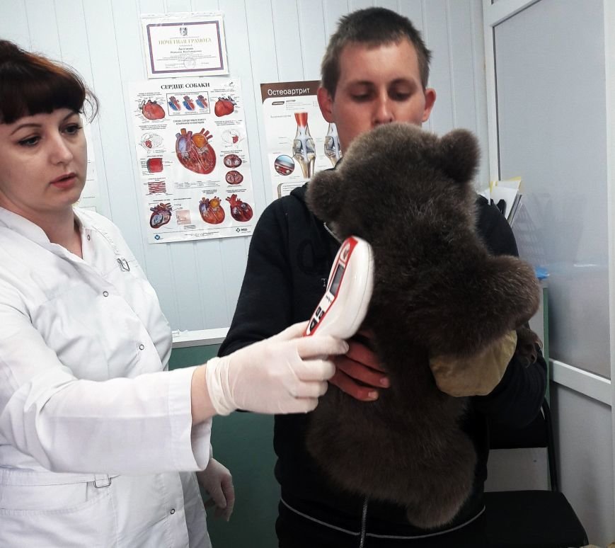 мед3 мед3