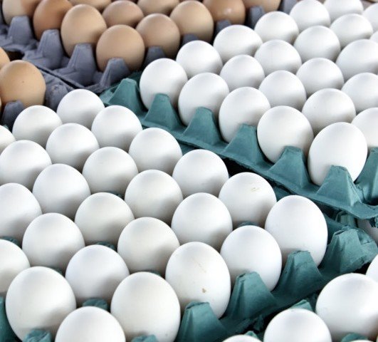 ����: inaktau.kz