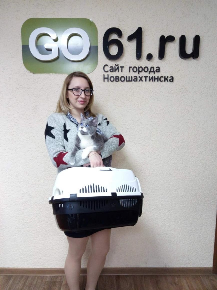 главная главная