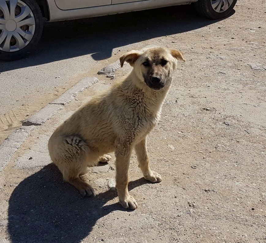 ����: inaktau.kz