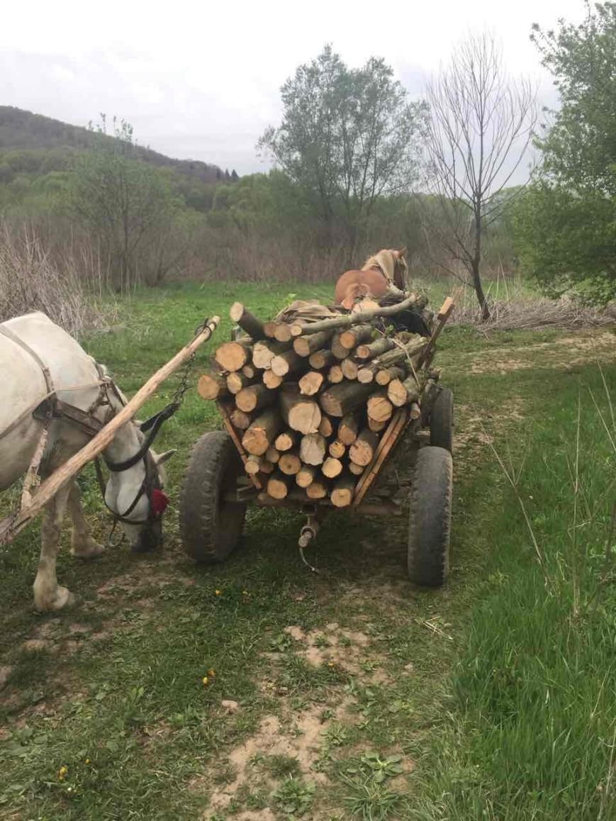 мааіапі мааіапі