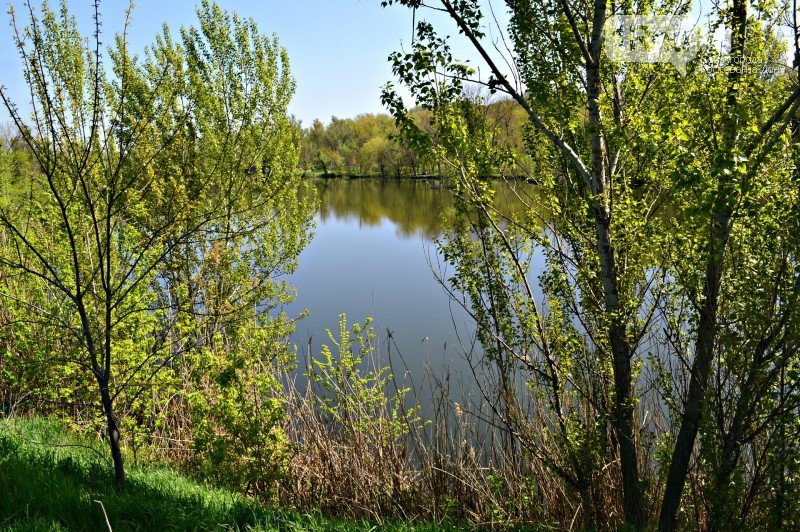 чг3 чг3
