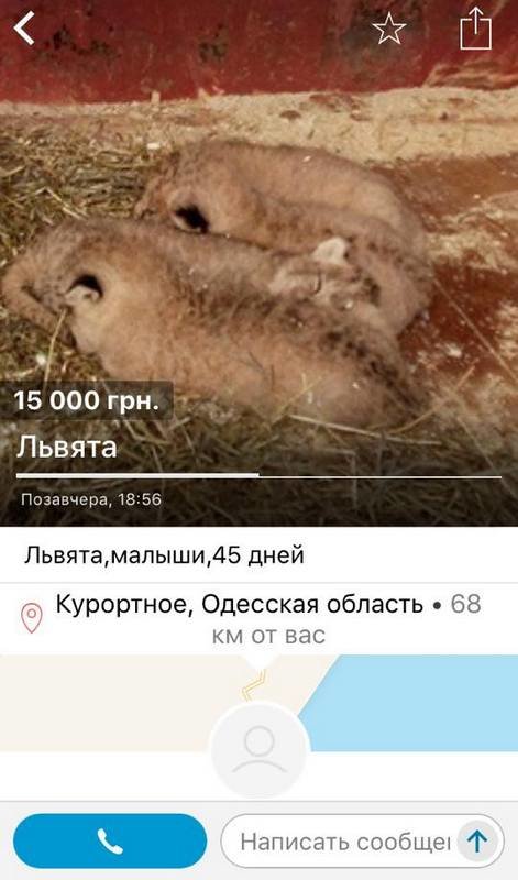 18222513_818599188292824_2385131081699038758_n (1) 18222513_818599188292824_2385131081699038758_n (1)