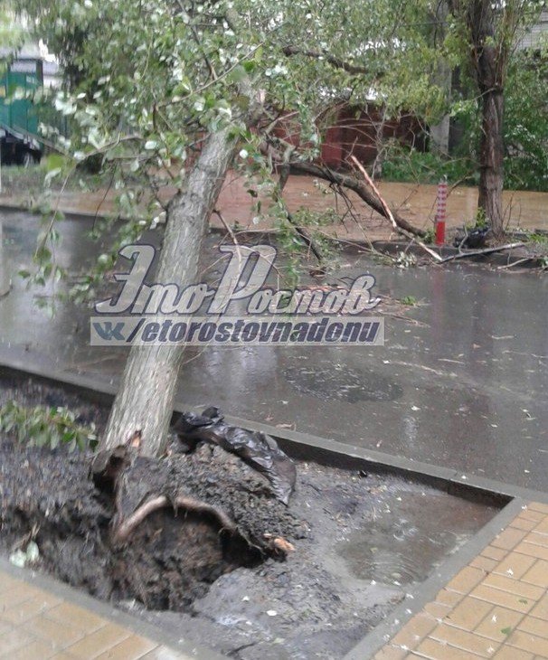 журавлевадеревце журавлевадеревце