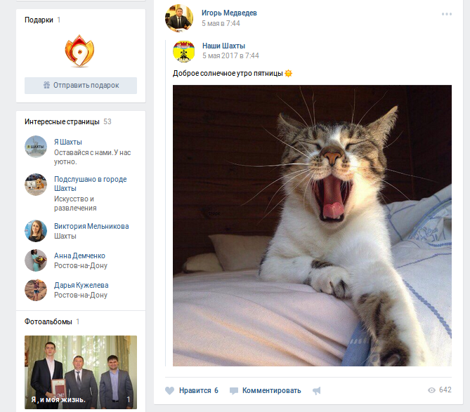 котик котик