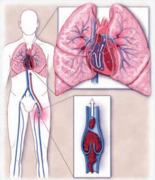 Рисунок3 Рисунок3