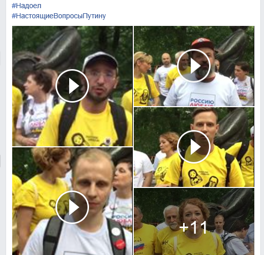 надоел надоел