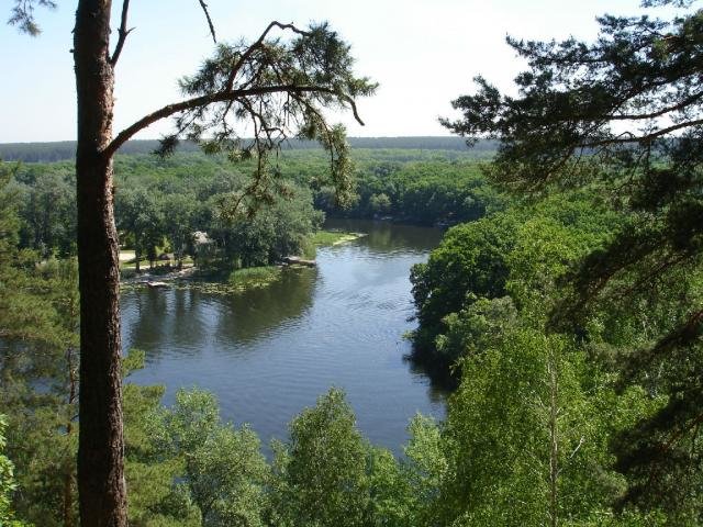 Гомольшанские леса Гомольшанские леса